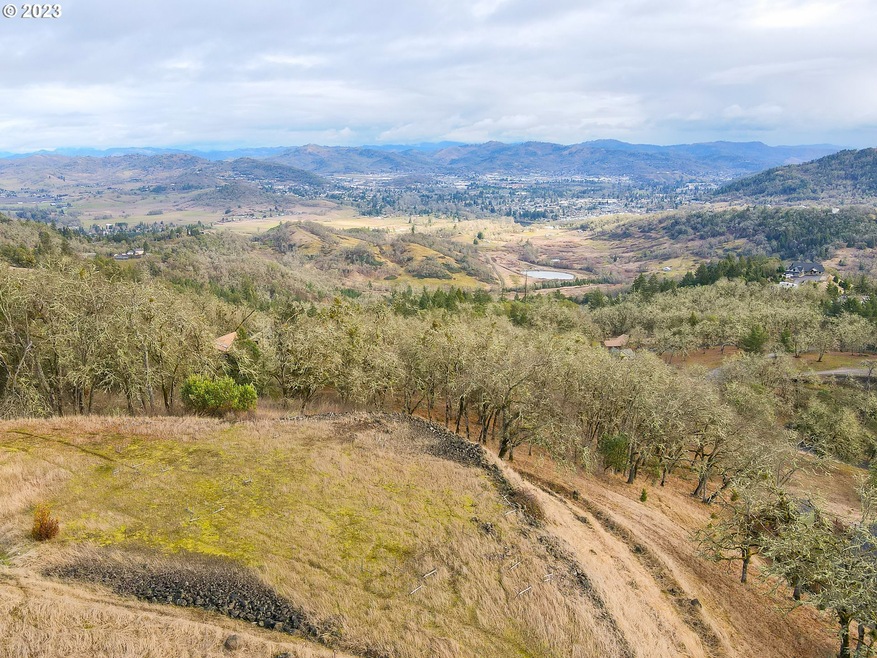 275 Platinum Dr, Roseburg, OR 97471 - photo 1