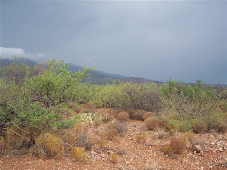 Primary Photo