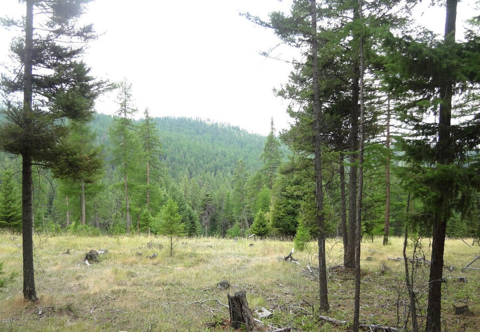 Nhn Spring Hill Rd, Kila, MT 59920 - photo 1