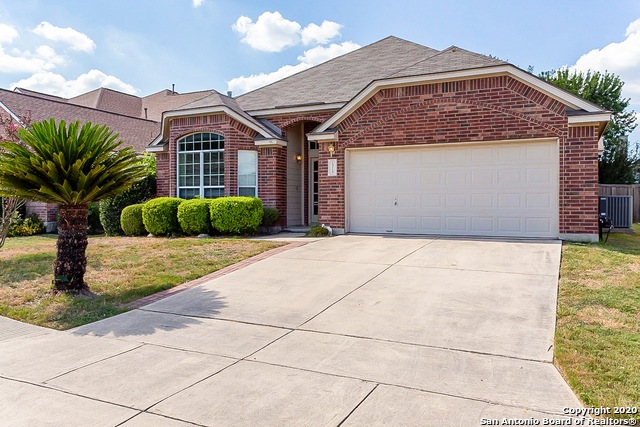 13113 Mystic Saddle, Helotes, TX 78023 - photo 1