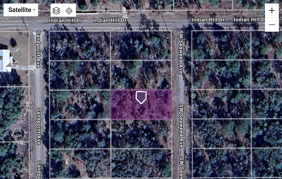 0 SW Seaweed Ave unit MFRTB8436933, Dunnellon, FL 34431 - photo 1