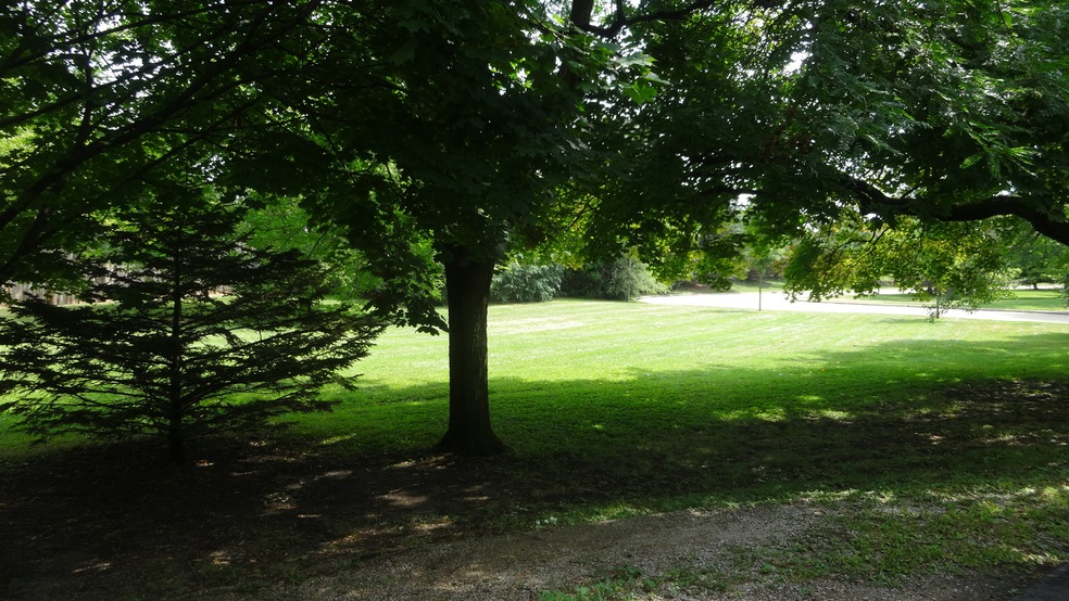 250 Melrose Ave, Elmhurst, IL 60126 - photo 1