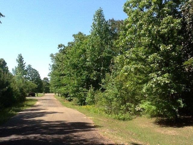 000 Cedar Cove, Summit, MS 39666 - photo 1