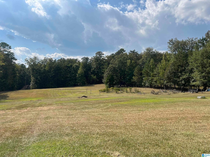6809 Lou George Loop, Bessemer, AL 35022 - photo 1