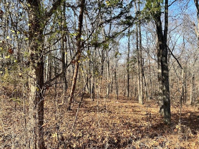 Lot 16 Saxilby Ln, Bella Vista, AR 72715 - photo 1