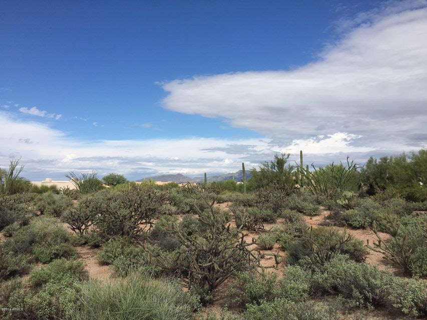 Venus Drive - Lot #21