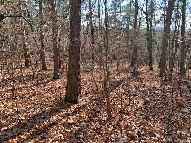 0 Quail Way unit 7685106, Jasper, GA 30143 - photo 1