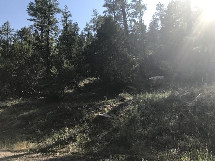 1041 N 24th Dr unit 10, Show Low, AZ 85901 - photo 1