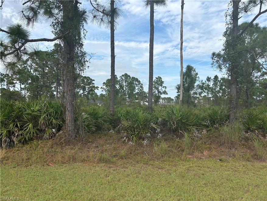 View of nature