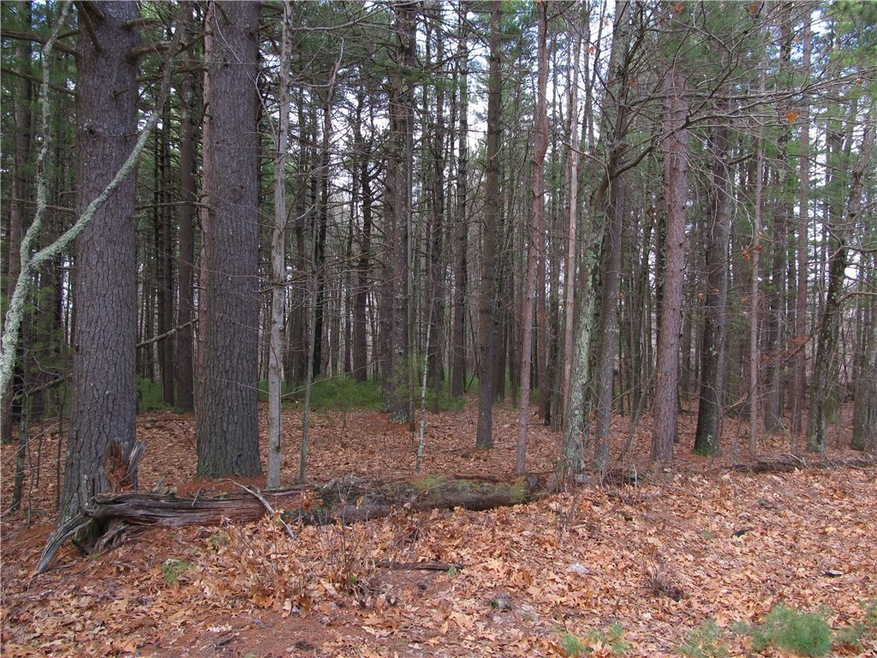 0 Douglas Hook Rd, Glocester, RI 02814 - photo 1