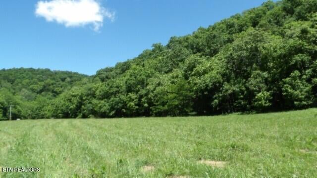 0 Brimstone Creek Rd unit 1295468, Moss, TN 38575 - photo 1