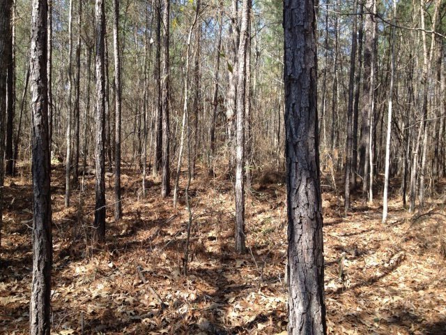 21 Rivermist Rd, Juliette, GA 31046 - photo 1