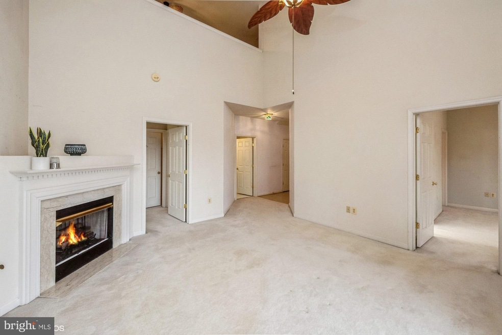 11333 Westbrook Mill Ln unit 301, Fairfax, VA 22030 - photo 1