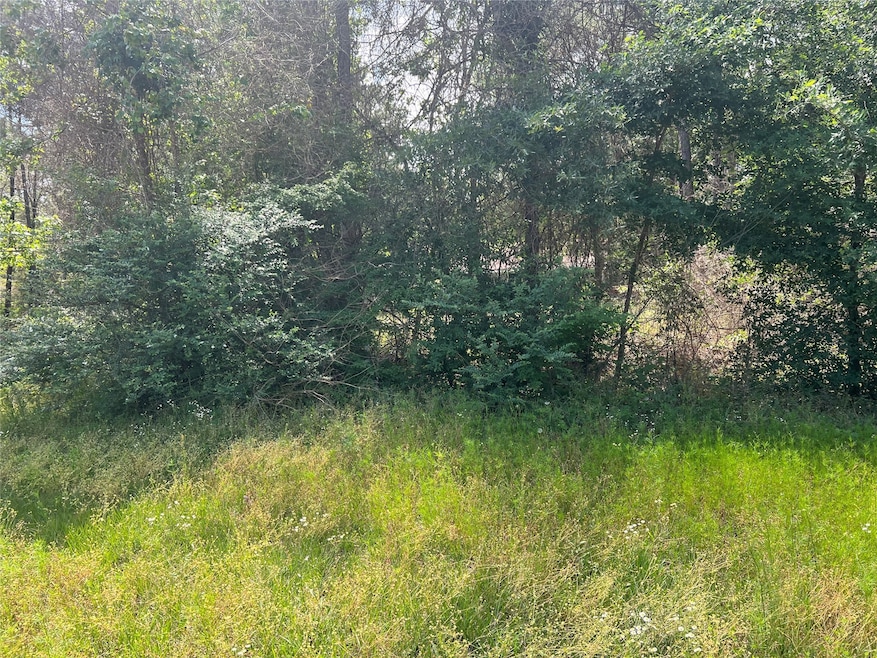 TBD County Road 510, Brazoria, TX 77422 - photo 1