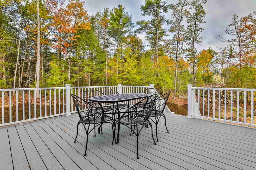 3 Clover Hill Way, Brookline, NH 03033 - photo 1