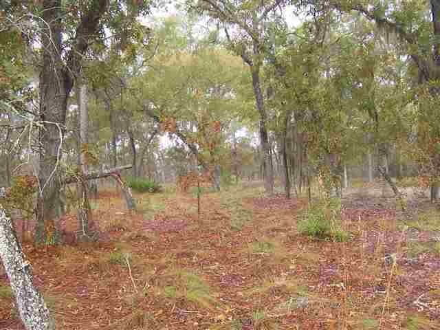 Lot 29 Breeze Dr 2nd unit 1, Perry, FL 32348 - photo 1