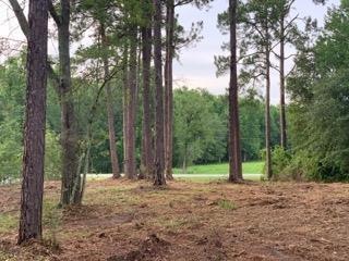 00 Fouche Ln NW, Poulan, GA 31781 - photo 1