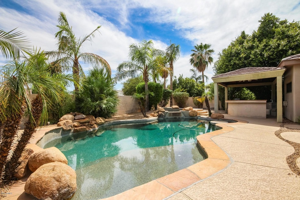 Resort style backyard