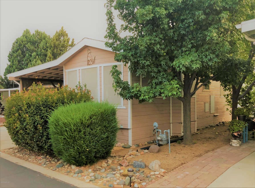 828 Mesquite Tree