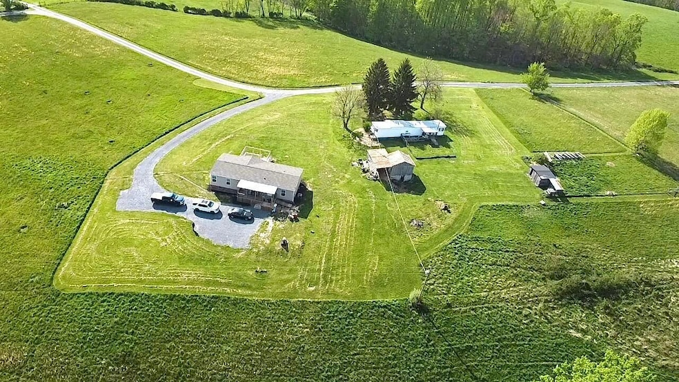 balldrone