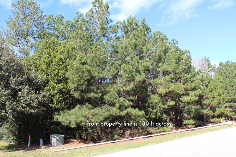 27315 E Benders Landing Blvd, Spring, TX 77386 - photo 1