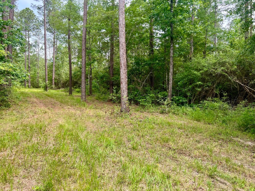 Parcel 2 (3.69 acres)