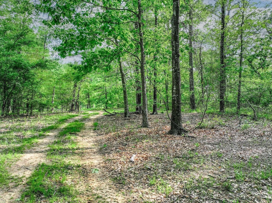 200 County Road 3635, Dike, TX 75437 - photo 1