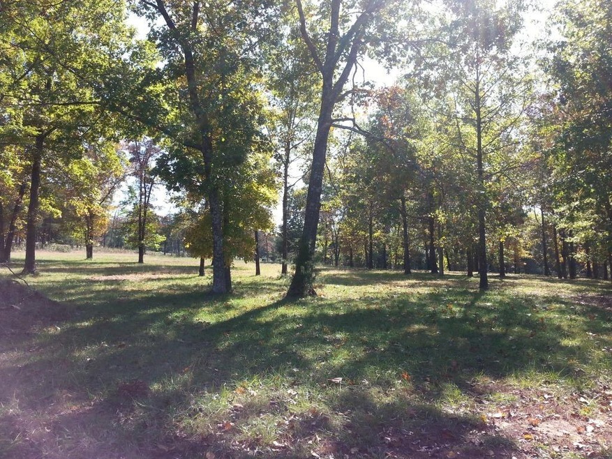 Lot 265 Little Aunts Creek, Kimberling City, MO 65686 - photo 1