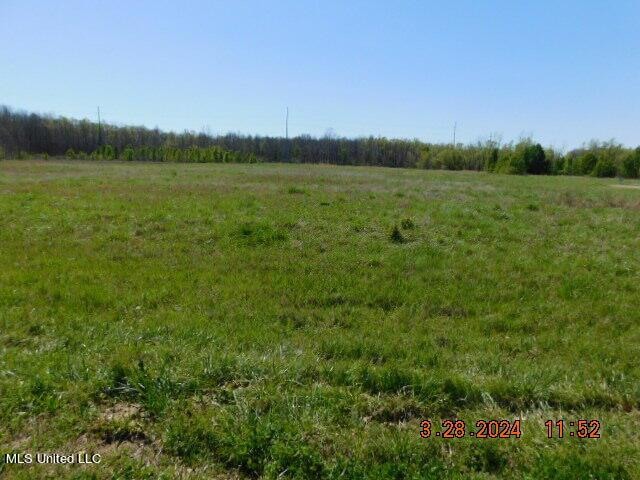 14243 Stockade Dr, Olive Branch, MS 38654 - photo 1