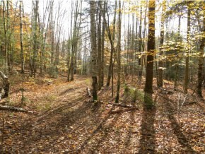 Lot #4 Spaulding Rd, Saint Johnsbury, VT 05819 - photo 1