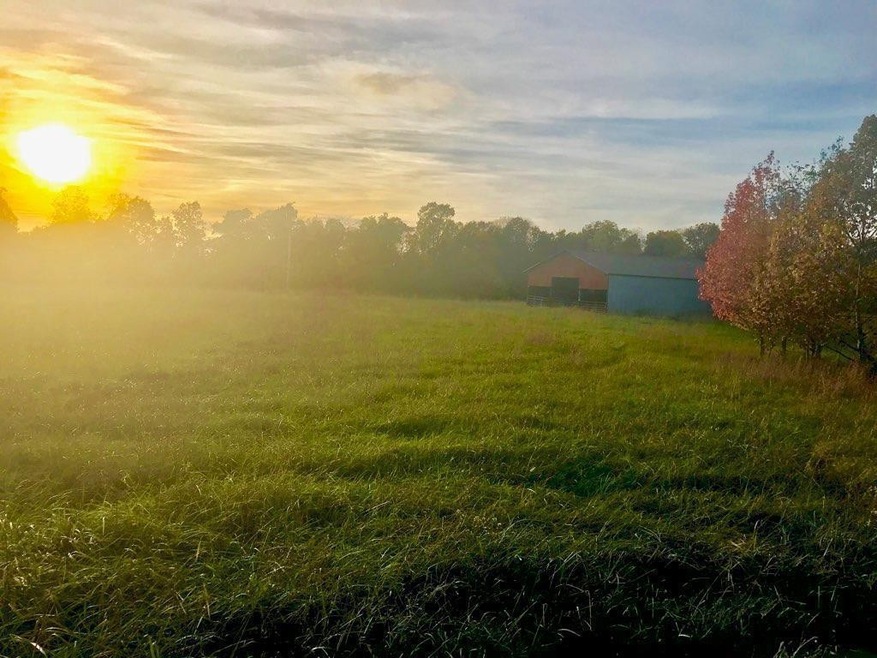 0 Phifer Mountain Rd unit RTC2525004, Cookeville, TN 38506 - photo 1