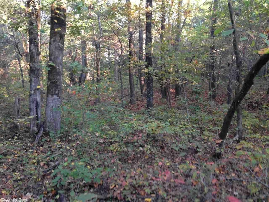 20 Gr 715, Paragould, AR 72450 - photo 1