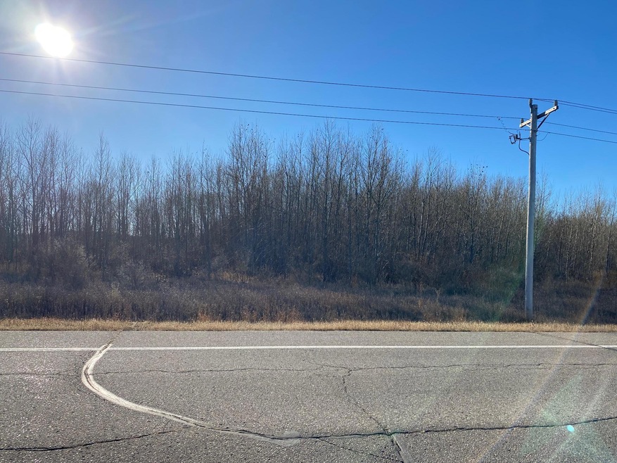 null County Road 86 SE, Hudson Township, MN 56308 - photo 1