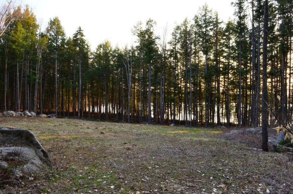 Nice lot ready to build a camp on.