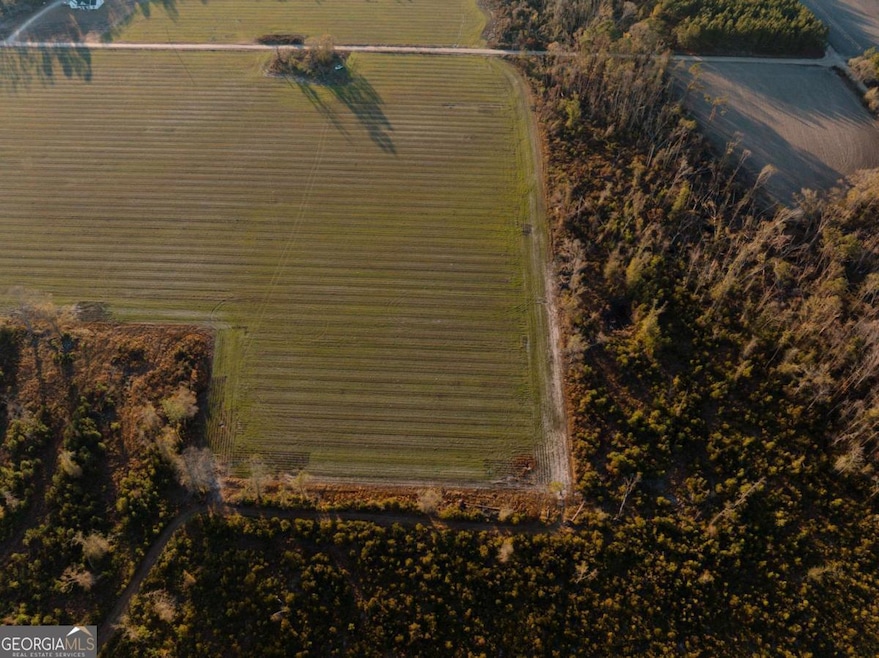 0 Chesapeak Rd unit 10567808, Alma, GA 31510 - photo 1