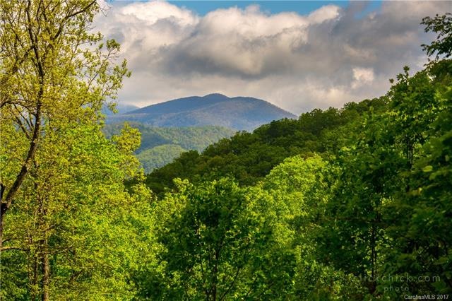 View from Homesite 7 in High Hickory