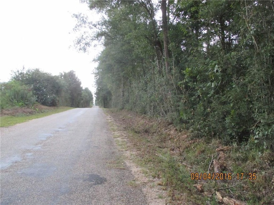 999 Par Road 216, Angie, LA 70426 - photo 1