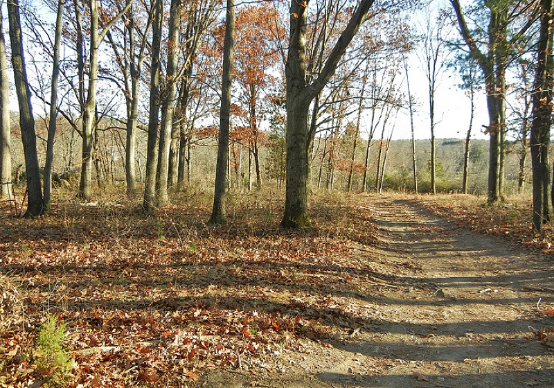 73 Race St, Pittstown, NJ 08867 - photo 1