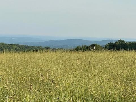 0 Stump Pond Rd, Callicoon, NY 12724 - photo 1