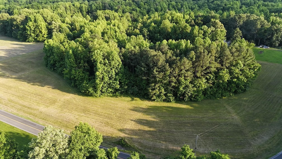 000 Old Samburg Rd, Hornbeak, TN 38232 - photo 1