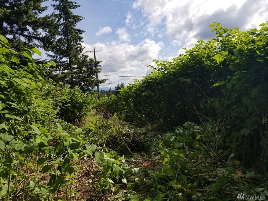 10202 255th St E, Graham, WA 98338 - photo 1