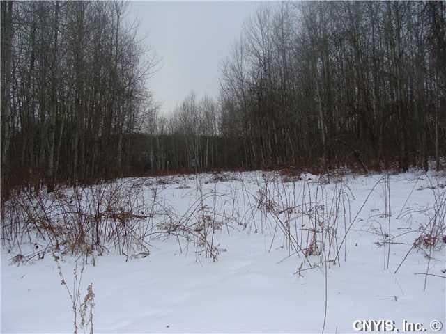 Land/Lot