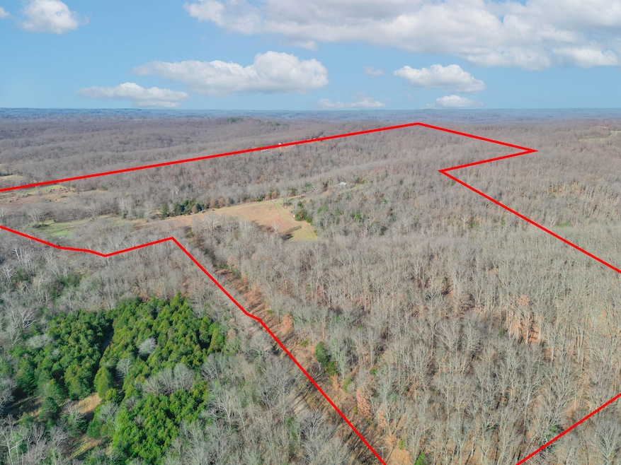 0 Minnow Branch Rd, Buffalo Township, MO 65078 - photo 1