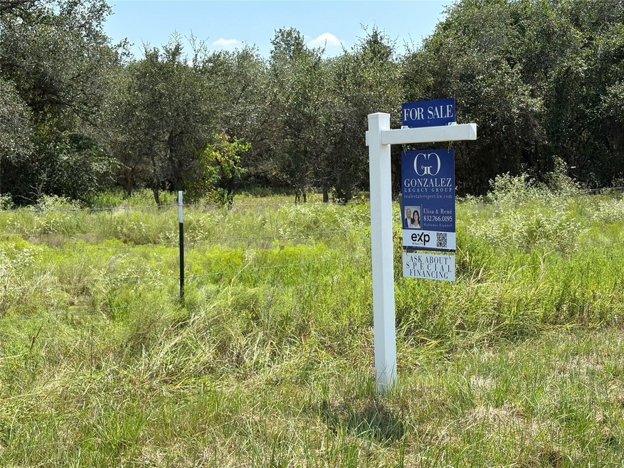 0 W Hwy 90 Hwy W unit 45602861, Rock Island, TX 77470 - photo 1