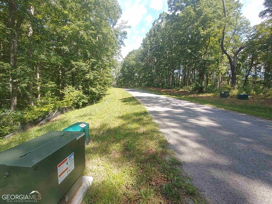 0 Hilton Dr unit 52 10171517, Ellijay, GA 30540 - photo 1