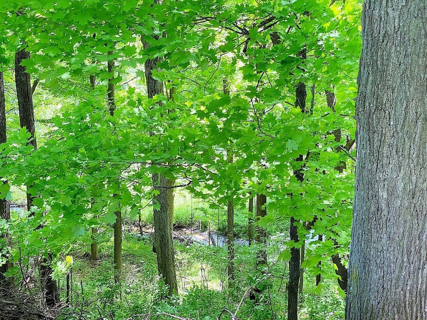 IMG_0107