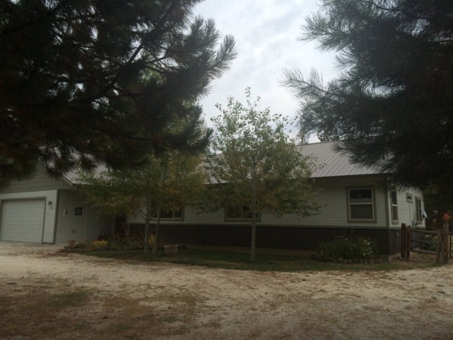 Main View
