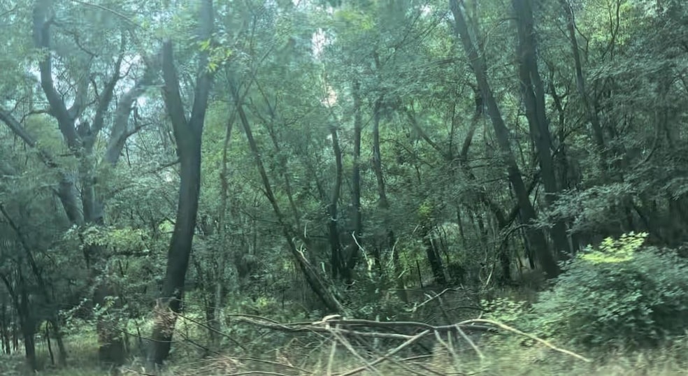 No Address Imperial Dr, Austin, TX 78725 - photo 1