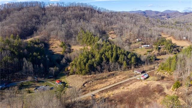 0000 Paint Fork Rd, 4, Beech Glenn, NC 28754 - photo 1