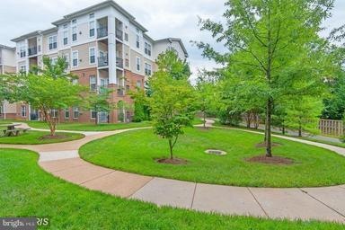 3810 Lightfoot St unit 209, Chantilly, VA 20151 - photo 1